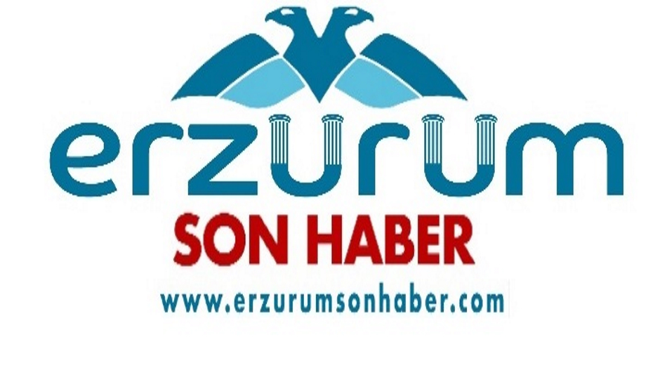 AFAD Deprem ve Risk Azaltma Genel Müdürü Tatar: “Şu ana kadar bin 600’ün üzerinde artçı sarsıntı var”
